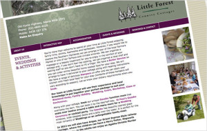 Little Forest Website